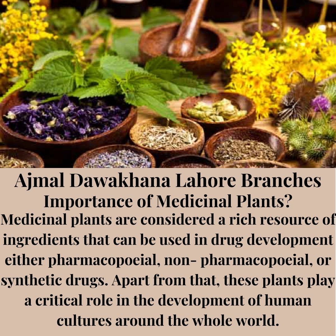 Ajmal Dawakhana Lahore Branches