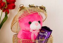 gifts to Singapore