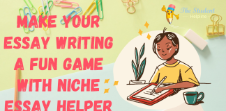 make-your-essay-writing-a-fun-game-with-niche-essay-helper-uk