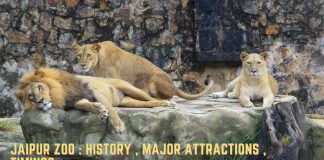 Jaipur Zoo History , Major Attractions , Timings (1)