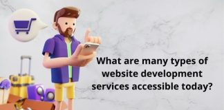 What are many types of website development services accessible today