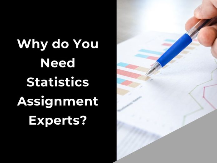 statistics assignment experts