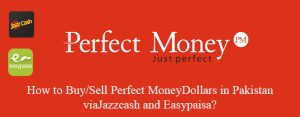 Perfect Money Exchange in Pakistan