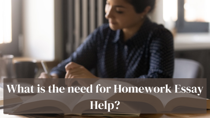 homework essay help