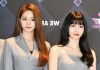 Chou Tzuyu Height, Biography lifestyle and Facts